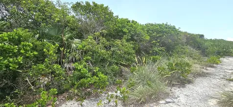 Whale Point Estates Eleuthera BS