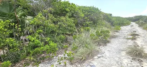 Whale Point Estates Eleuthera BS