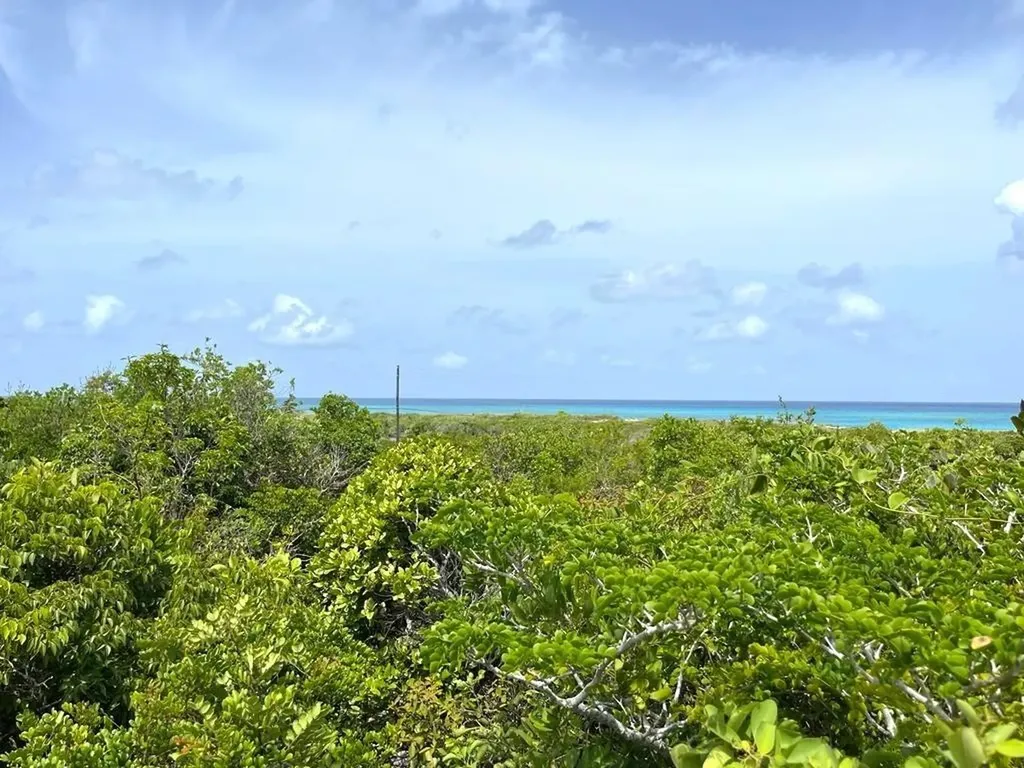 Columbus Landings San Salvador BS