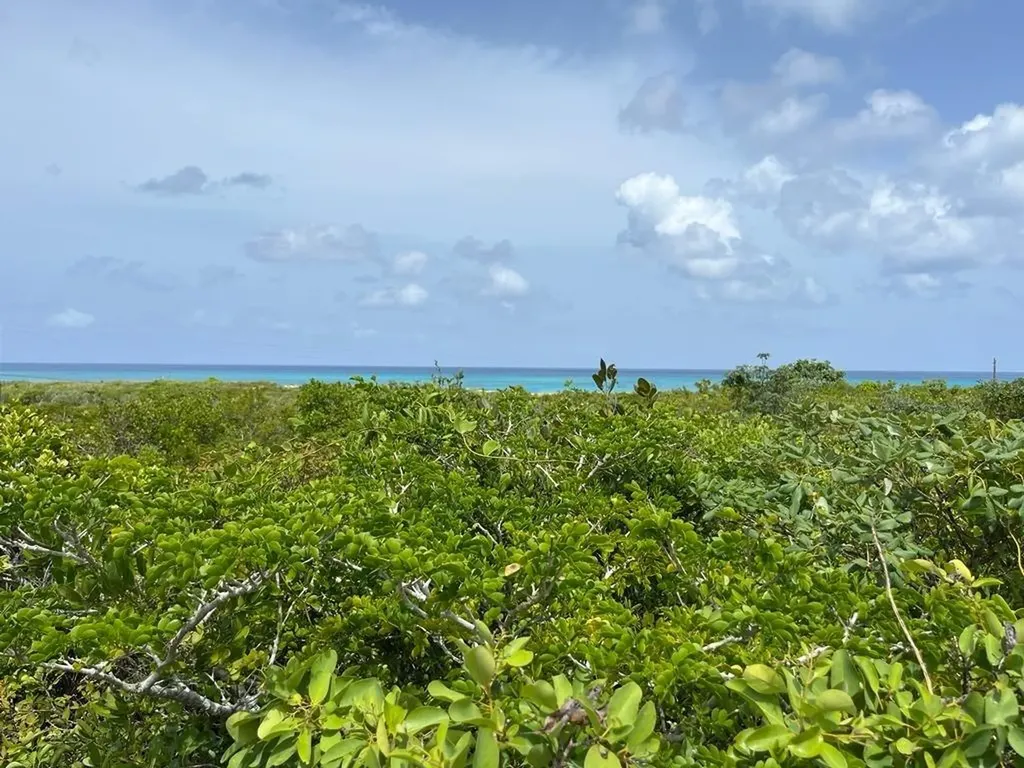 Columbus Landings San Salvador BS