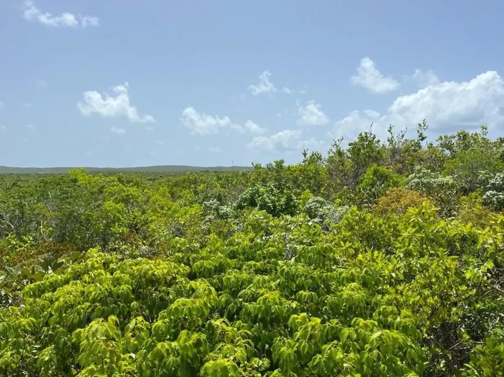 Columbus Landings San Salvador BS