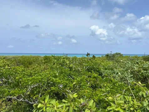 Columbus Landings San Salvador BS