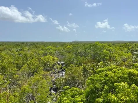 Columbus Landings San Salvador BS