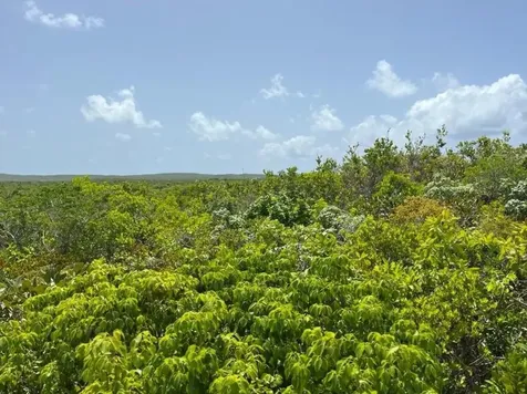 Columbus Landings San Salvador BS