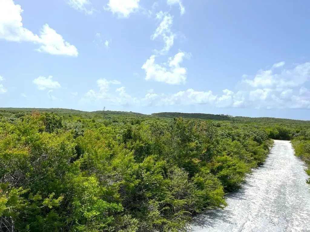 Columbus Landings San Salvador BS