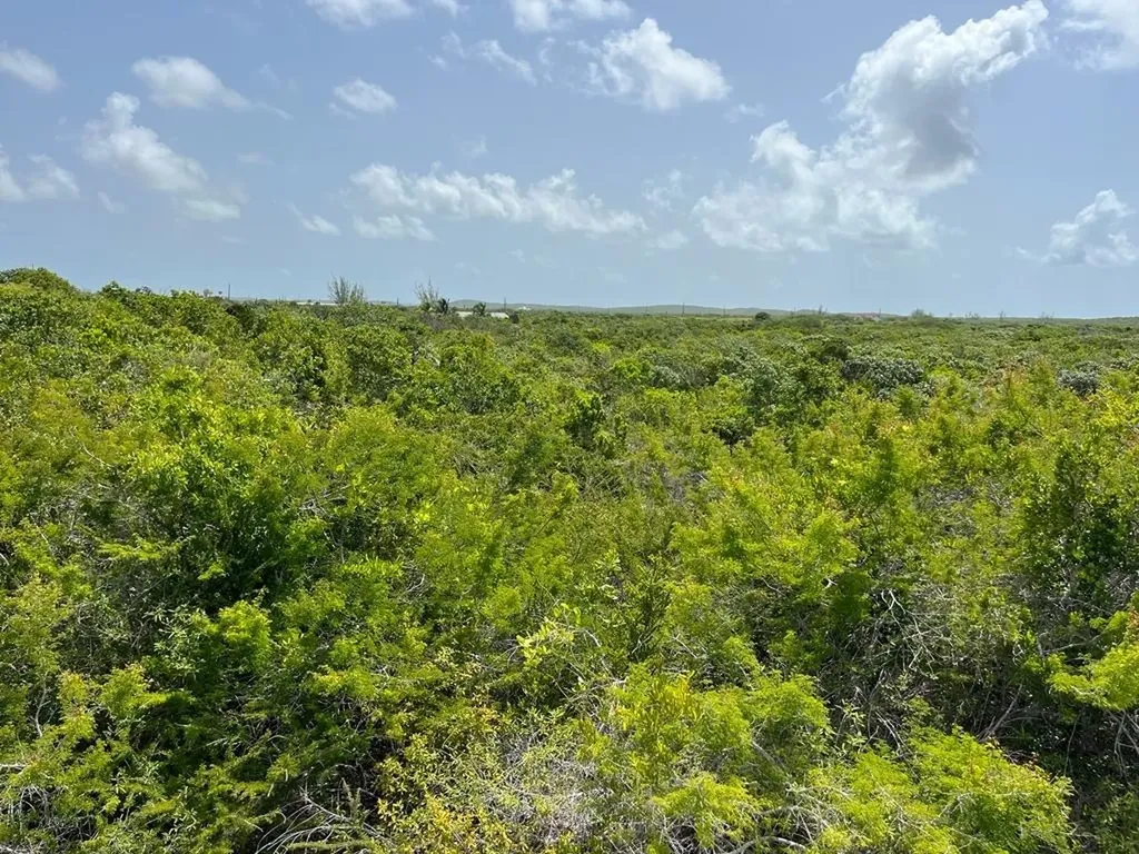 Columbus Landings San Salvador BS