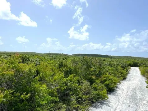 Columbus Landings San Salvador BS