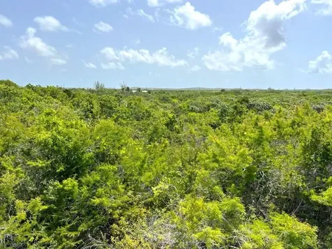 Columbus Landings San Salvador BS