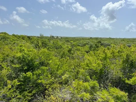 Columbus Landings San Salvador BS