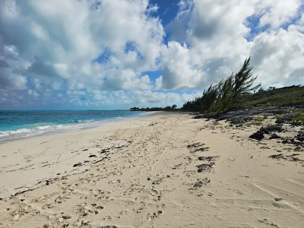 Grape Piece 1-3 Exuma BS