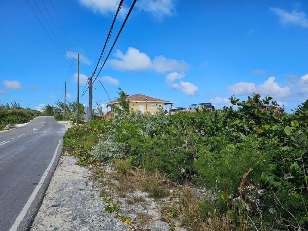 Grape Piece 1-3 Exuma BS