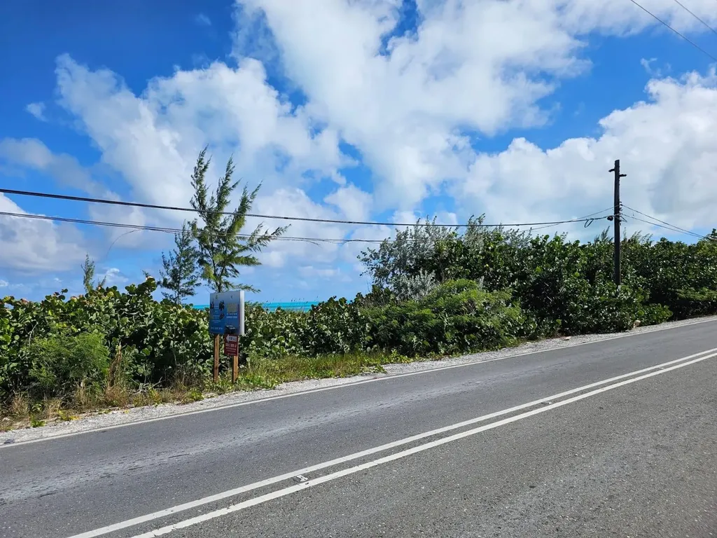 Grape Piece 1-3 Exuma BS