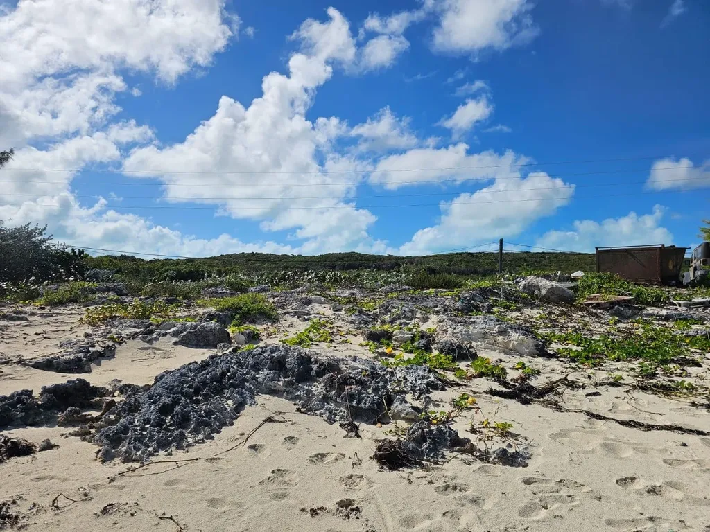 Grape Piece 1-3 Exuma BS