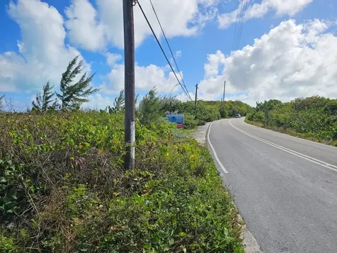 Grape Piece 1-3 Exuma BS