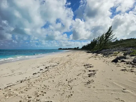 Grape Piece 1-3 Exuma BS