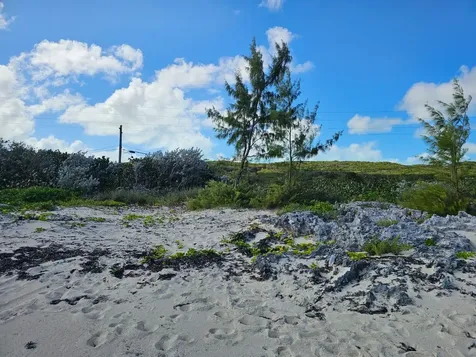 Grape Piece 1-3 Exuma BS