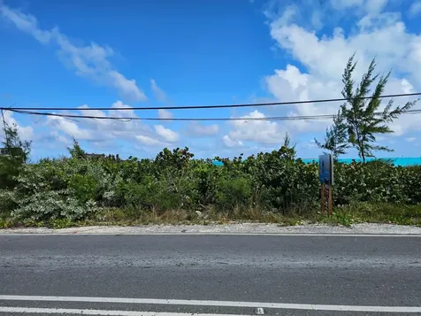 Grape Piece 1-3 Exuma BS