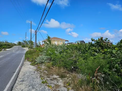 Grape Piece 1-3 Exuma BS