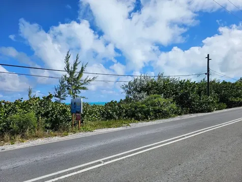 Grape Piece 1-3 Exuma BS