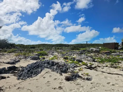 Grape Piece 1-3 Exuma BS