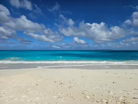 Grape Piece 1-3 Exuma BS