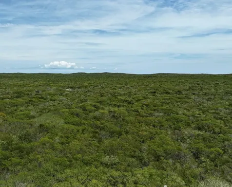 Darnotts Pond Eleuthera Eleuthera BS