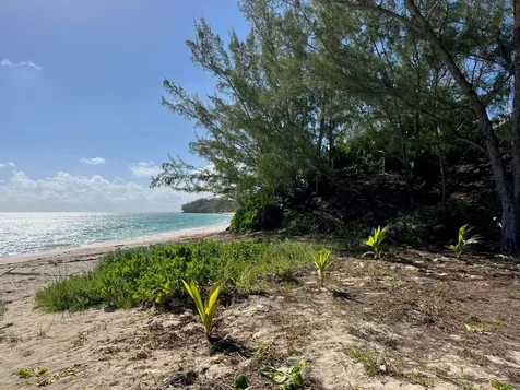 Poponi Beachfront Lot Eleuthera BS