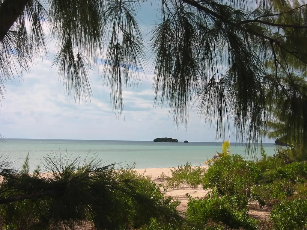 Half Moon Bay Long Island BS