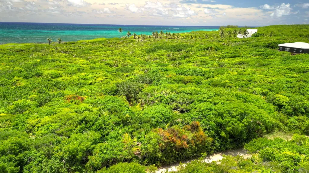 Chimney Hill Lots 15 & 18 Abaco BS