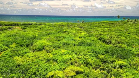 Little Harbour # 15 & 18 Abaco BS
