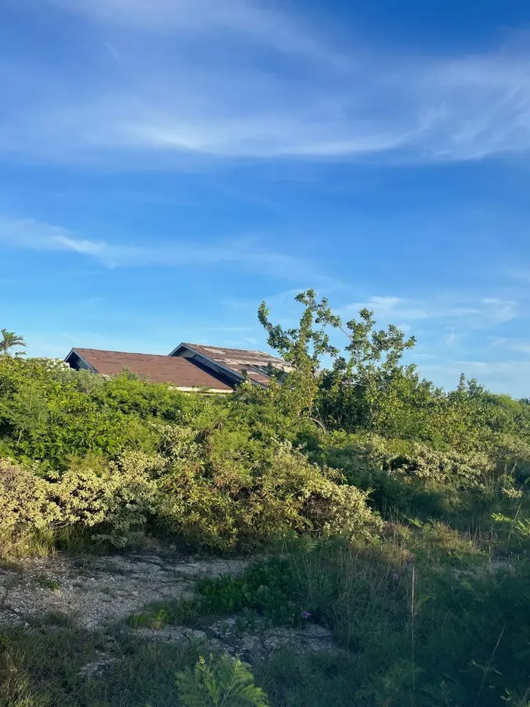 Clarence Town House Long Island BS