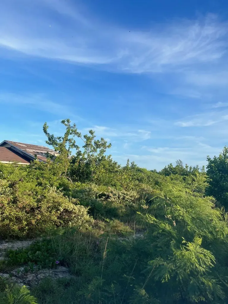 Clarence Town House Long Island BS