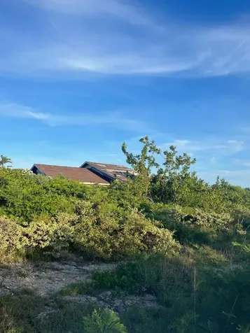 Clarence Town House Long Island BS