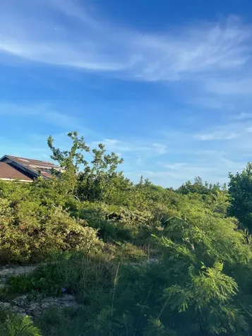 Clarence Town House Long Island BS