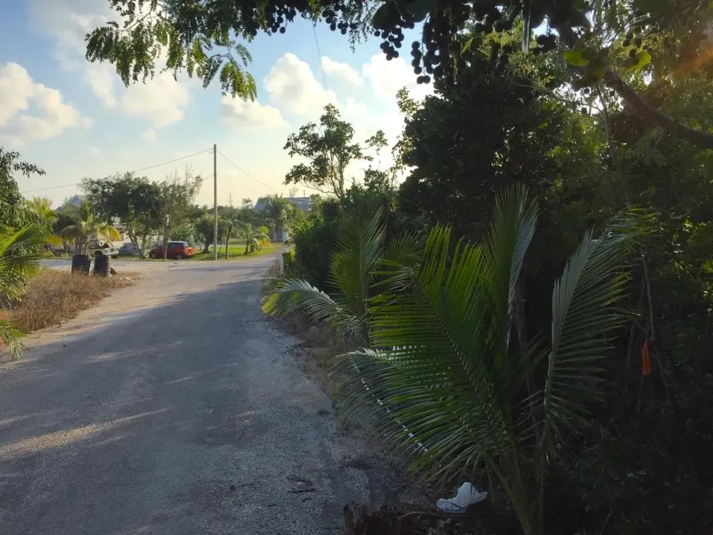 Cartwrights Lot Long Island BS