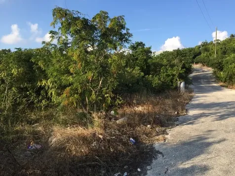 Cartwrights Lot Long Island BS