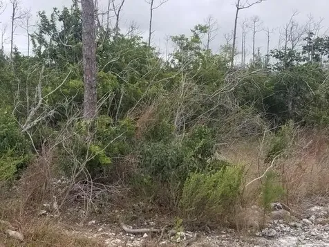 Windsor Bay Sub Grand Bahama Freeport BS