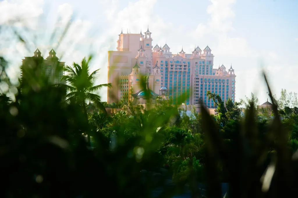 Thirty Six 105 Rent New Providence Paradise Island BS