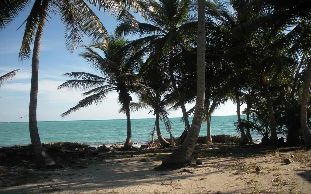 Oceanfront, Deep Creek Andros BS