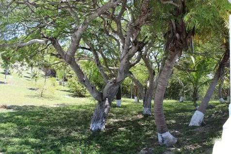 Stella Maris Long Island BS