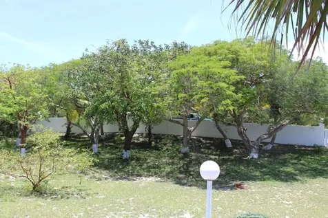 Stella Maris Long Island BS