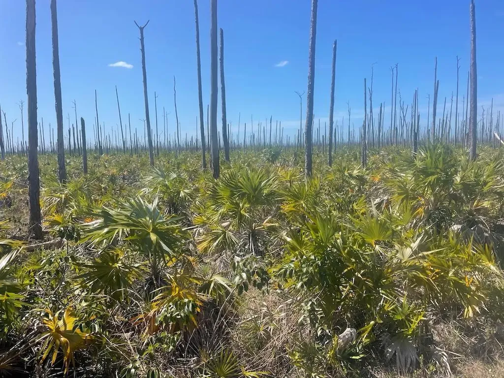 Lucaya Estates Lot Grand Bahama Freeport BS