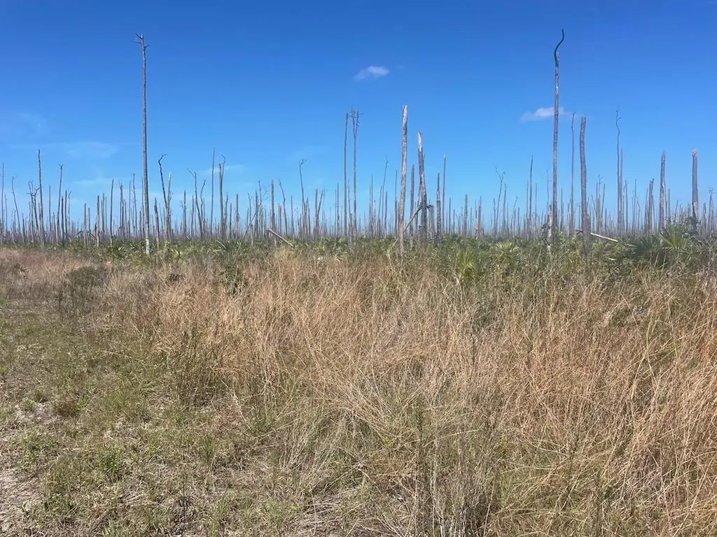 Lucaya Estates Lot Grand Bahama Freeport BS