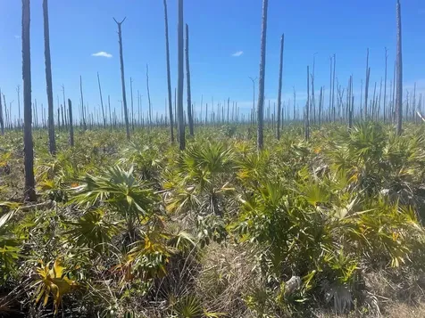 Lucaya Estates Lot Grand Bahama Freeport BS