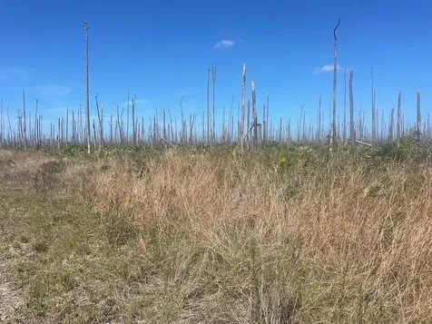 Lucaya Estates Lot Grand Bahama Freeport BS