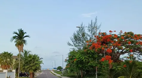 Winton Heights Vacant Lot New Providence Paradise Island BS