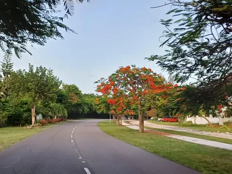 Winton Heights Vacant Lot New Providence Paradise Island BS