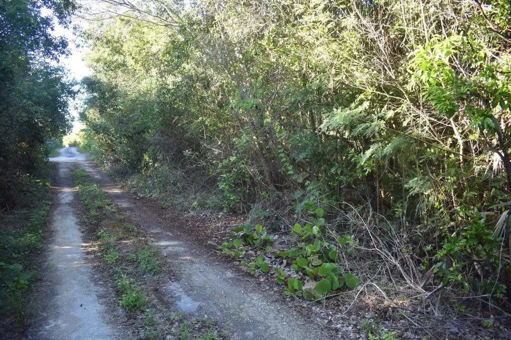 Whale Point Estates Eleuthera BS