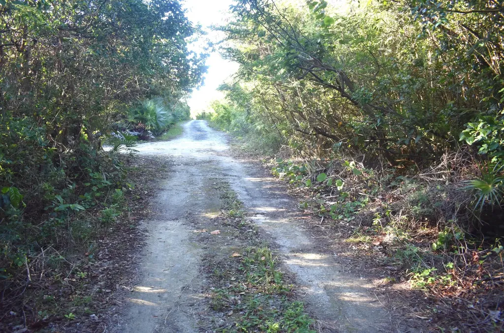 Whale Point Estates Eleuthera BS