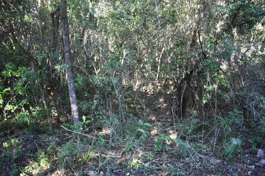 Whale Point Estates Eleuthera BS